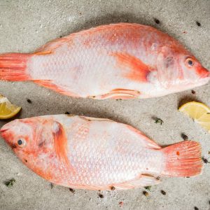 Cá Diêu Hồng Tươi Sống