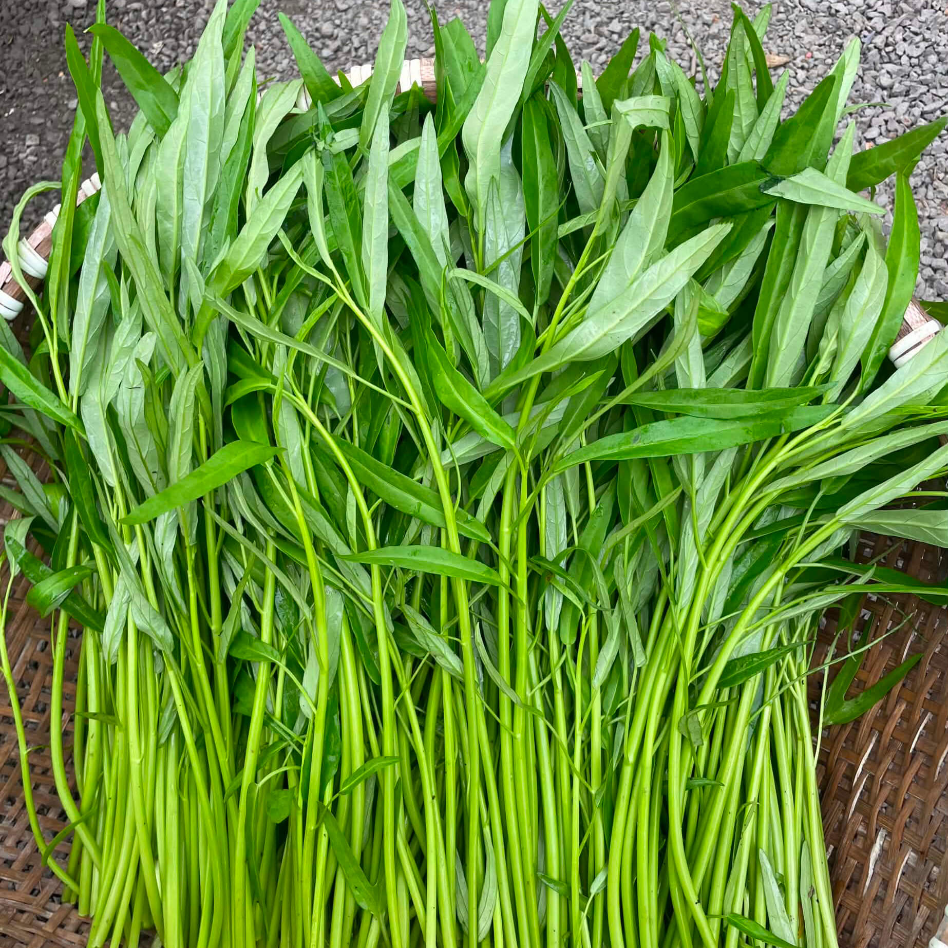 Rau Muống Thủy Canh (Khay/Gói 200g)